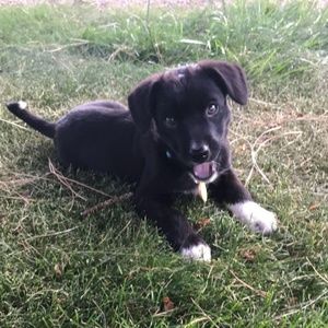 Meet your Posher, Holly